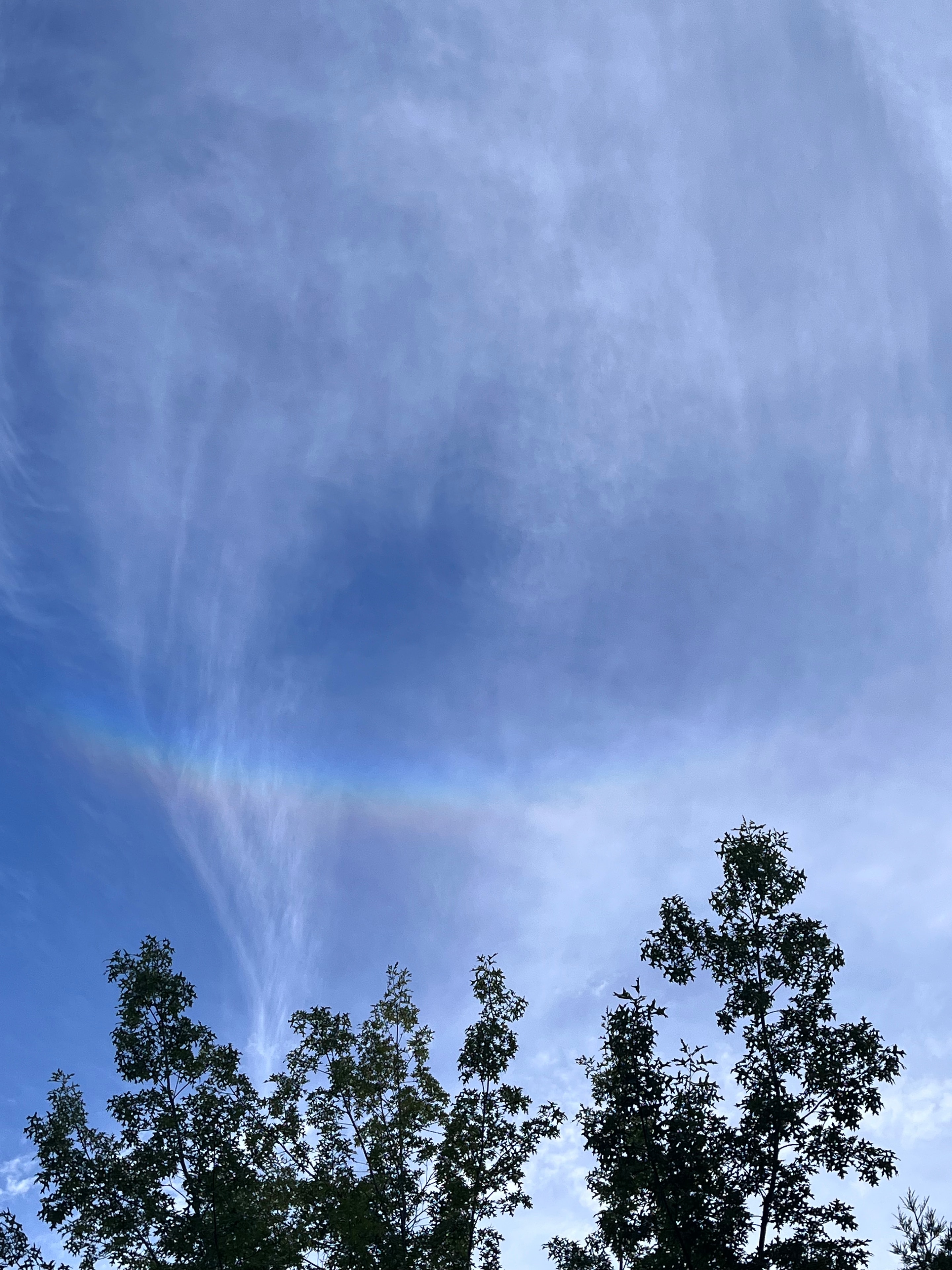 Wispy clouds and partial rainbow arc beside tree silhouette