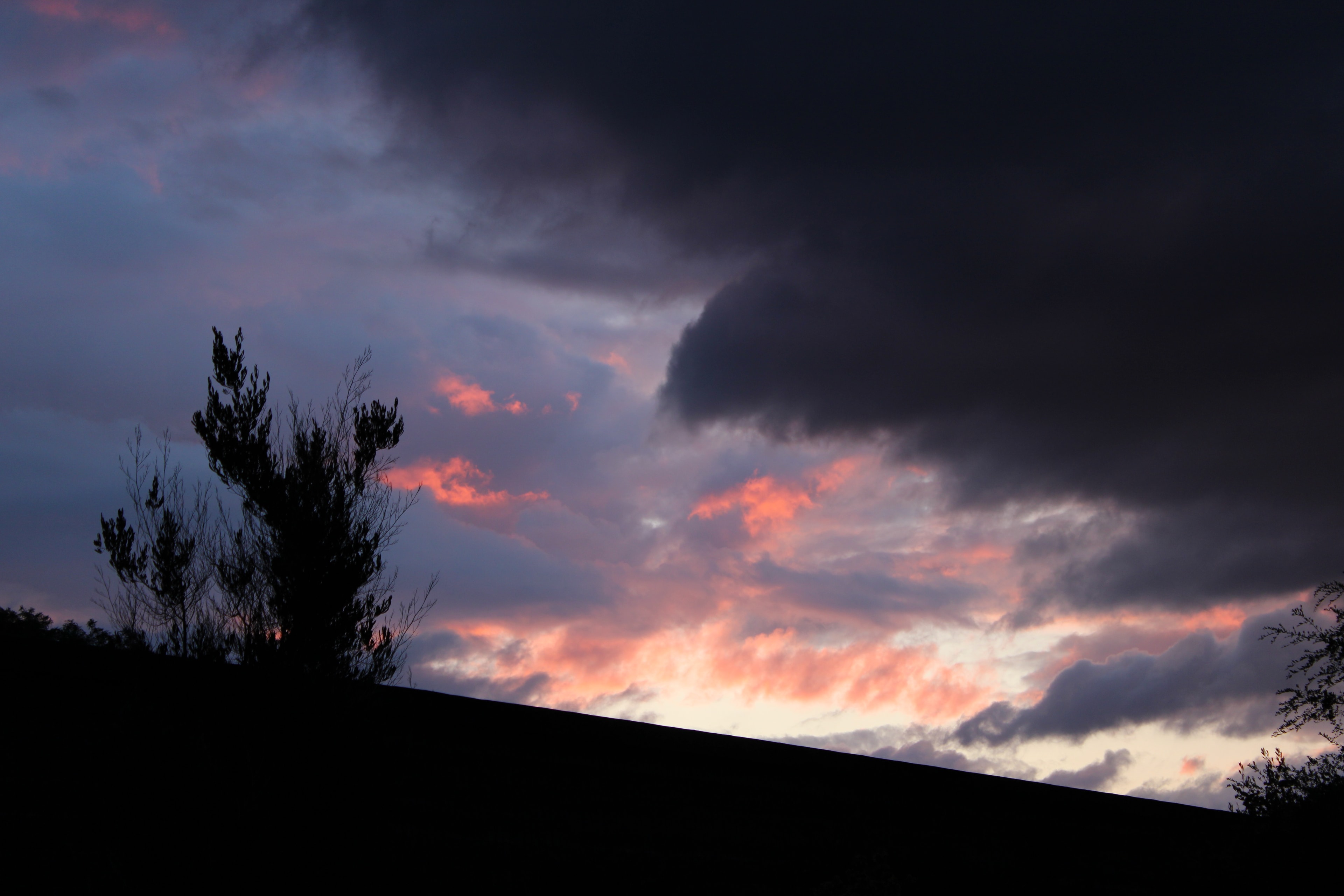 Dramatic dusk sky with silhouetted trees