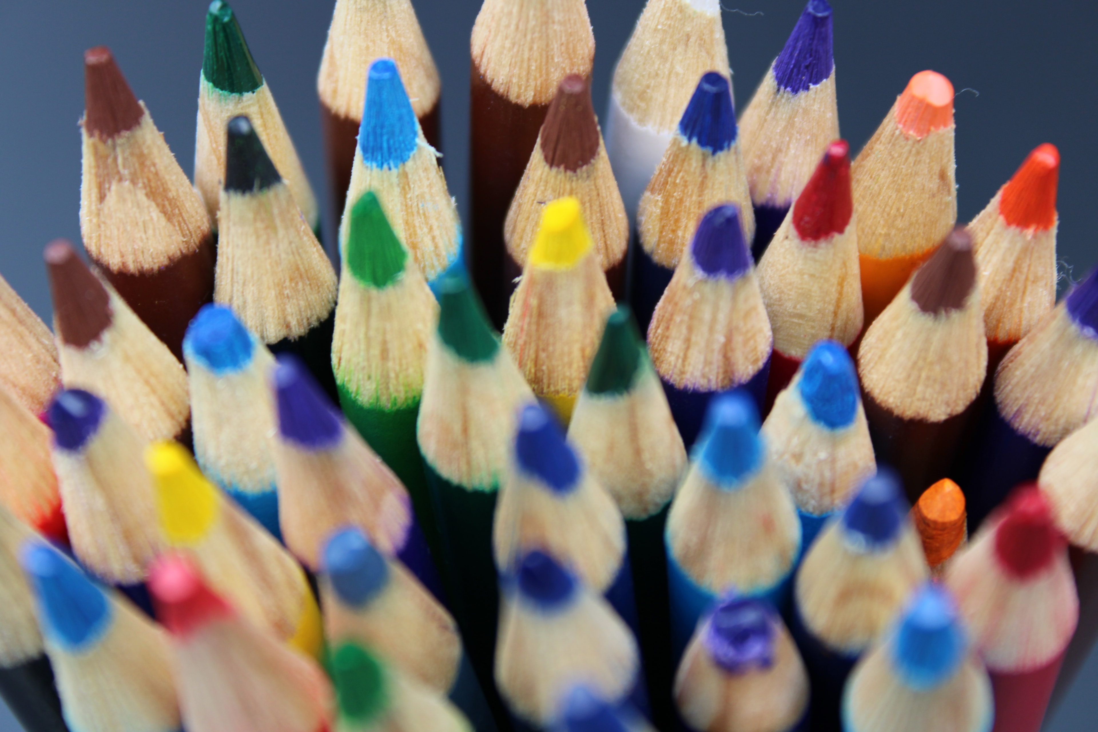 Sharpened colored pencil tips close up, vivid and textured
