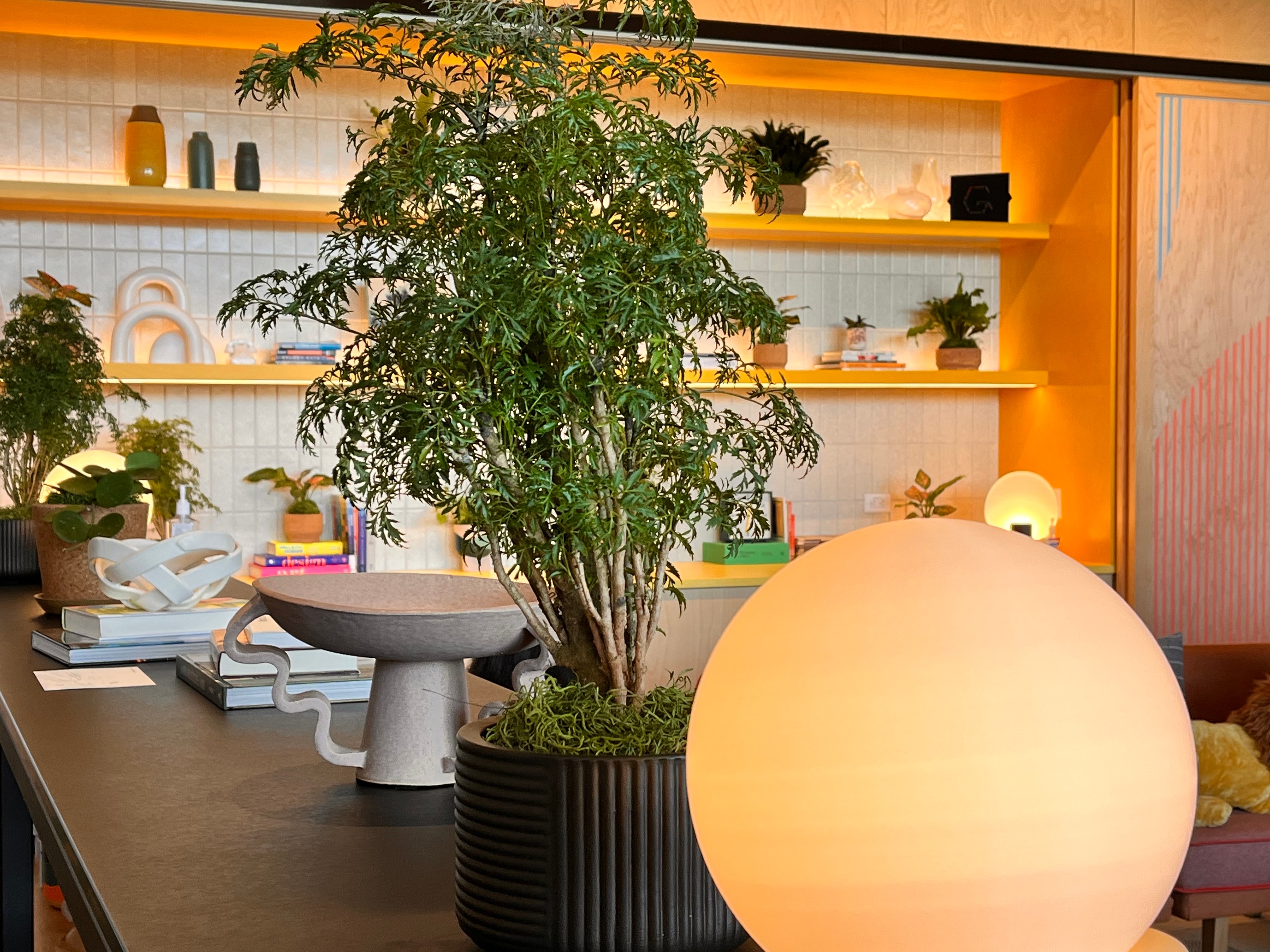 Warm workspace with plants and globe lamp