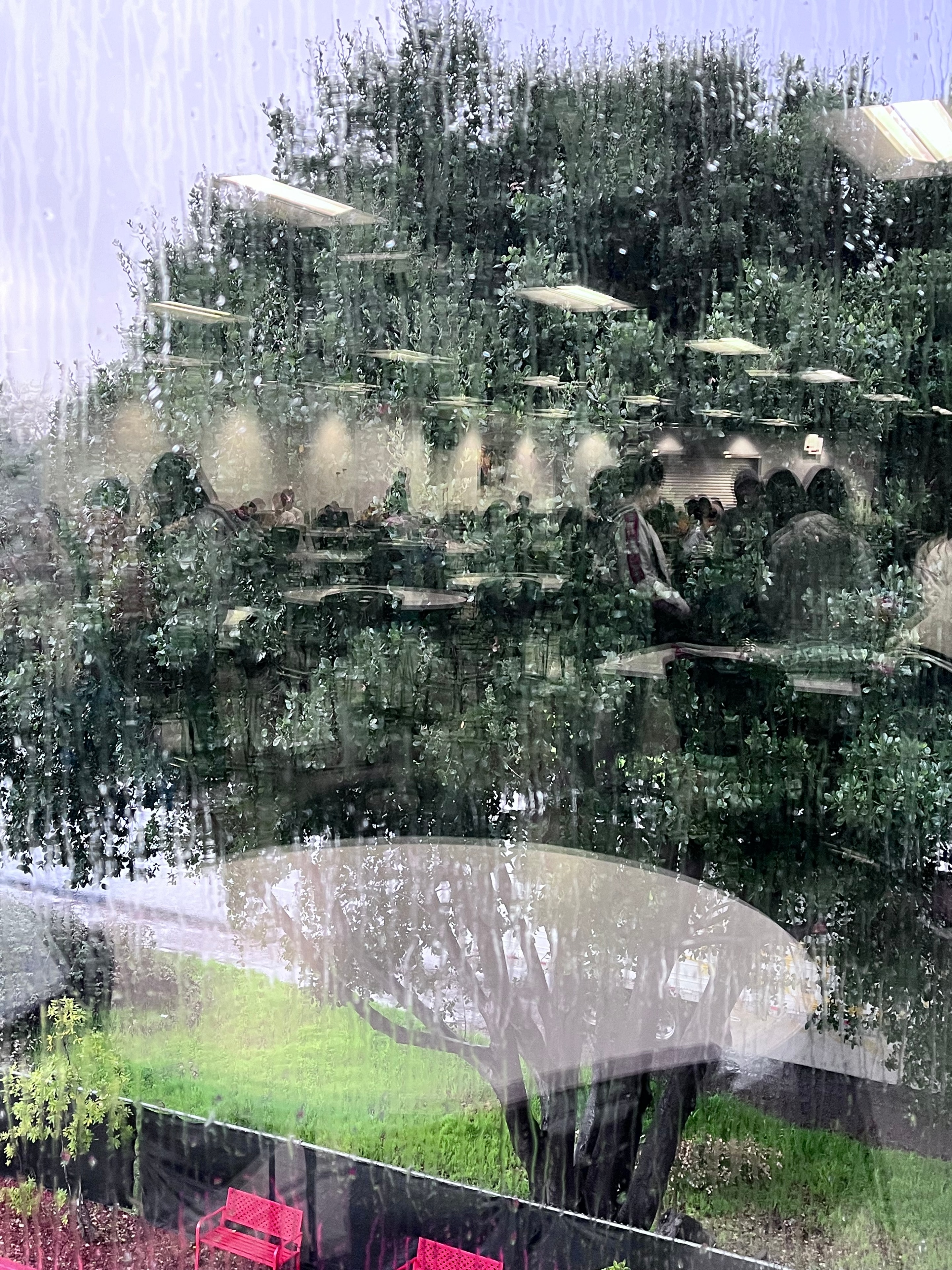 Lush green garden and courtyard seen through a rain-covered window